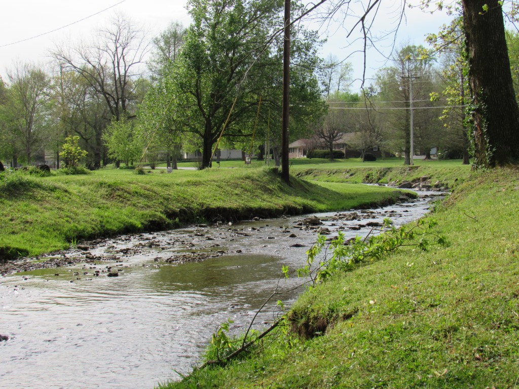 Long Fork Creek